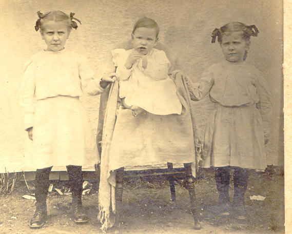 Branch 17 photo