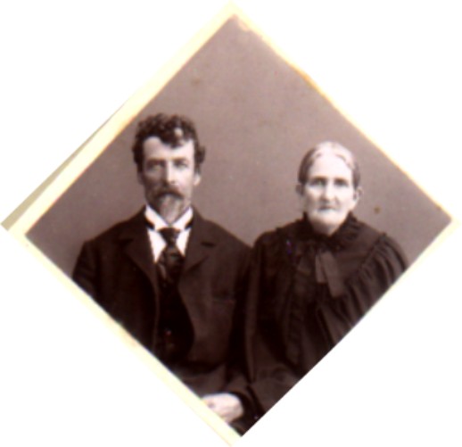 Branch 17 photo