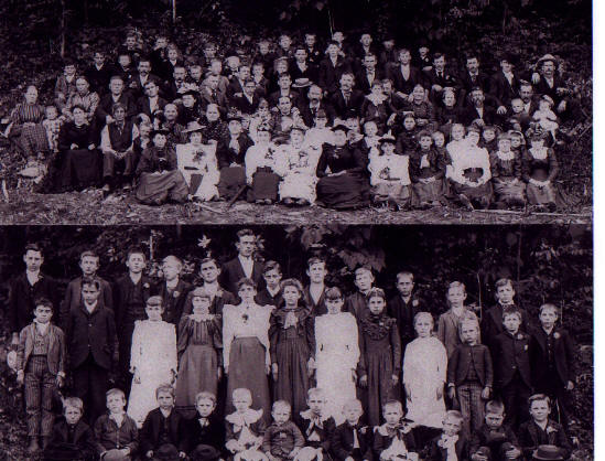 Branch 17 photo