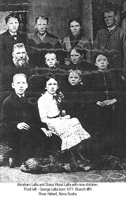 Branch 50 photo
